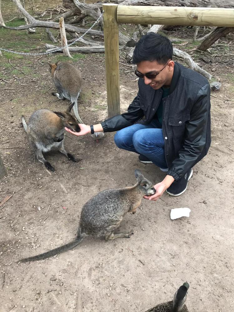 c7600d4d-4430-42d0-affc-b6071cb0ac4f